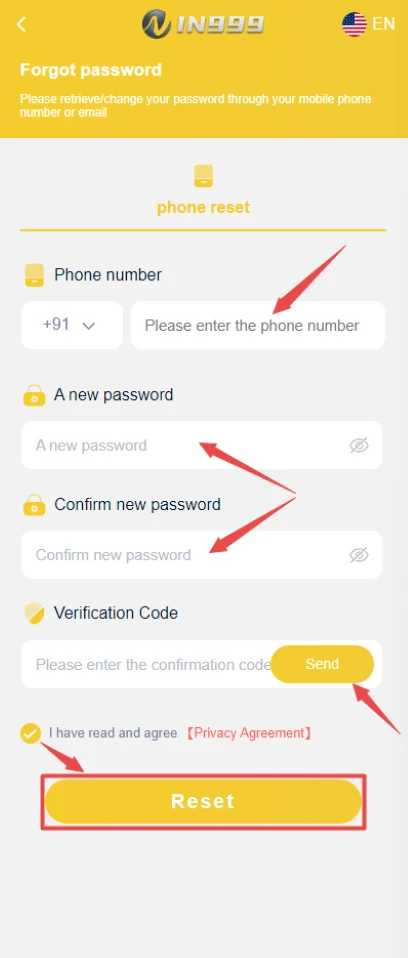 IN999 Game forgot-password reset screen